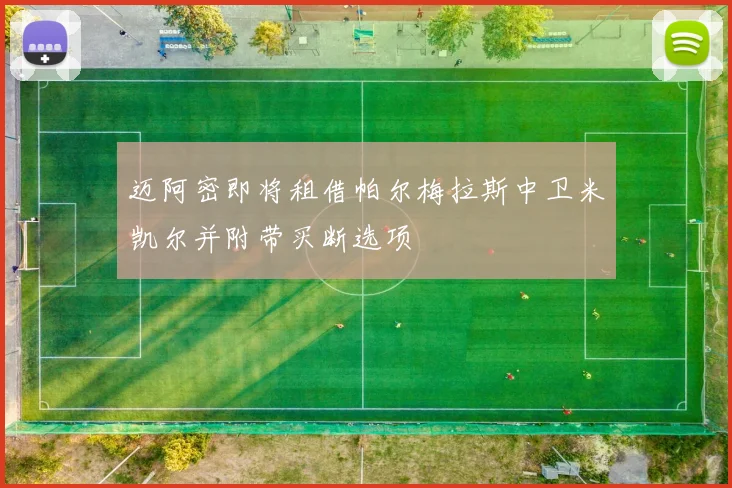 迈阿密即将租借帕尔梅拉斯中卫米凯尔并附带买断选项