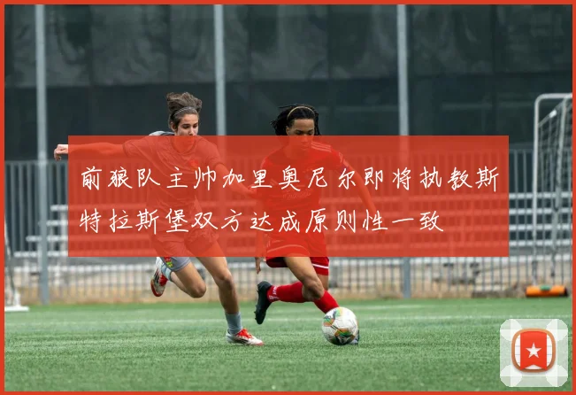 前狼队主帅加里奥尼尔即将执教斯特拉斯堡双方达成原则性一致