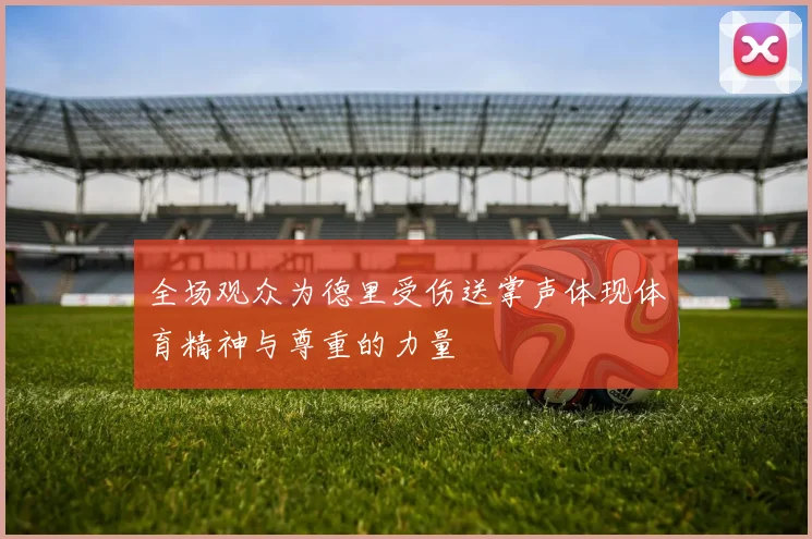 全场观众为德里受伤送掌声体现体育精神与尊重的力量
