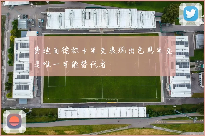 费迪南德称卡里克表现出色恩里克是唯一可能替代者