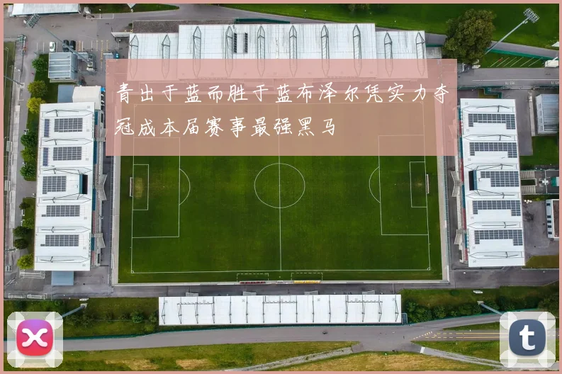 青出于蓝而胜于蓝布泽尔凭实力夺冠成本届赛事最强黑马