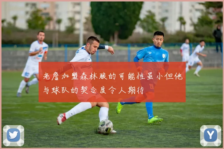 老詹加盟森林狼的可能性虽小但他与球队的契合度令人期待